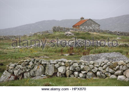 Un paesaggio di muri di pietra e di dipendenza in Connemara in Irlanda dell'Ovest. Foto Stock