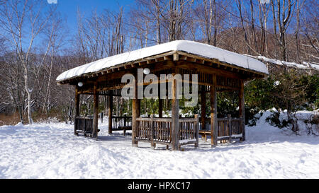 La neve e il padiglione in legno ambiente nella foresta Noboribetsu Onsen neve invernale del parco nazionale di Jigokudani, Hokkaido, Giappone Foto Stock