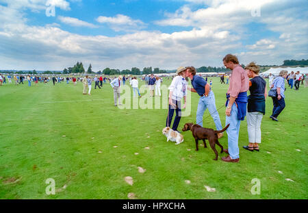 Un Kerry Imballatore sponsorizzato il polo del torneo al Cowdray Park, Easebourne, vicino a Midhurst in West Sussex: riunione amici. Foto Stock