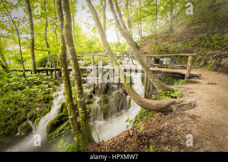I flussi di sole attraverso gli alberi della foresta come l'acqua di laghi superiori cascata sotto un ponte in legno protette del Parco Nazionale dei Laghi di Plitvice Nazione Foto Stock