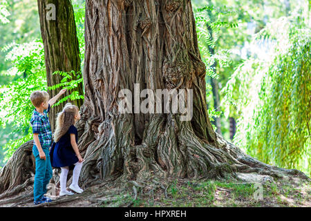 Piccolo Ragazzo e ragazza del fratello e sorella in piedi accanto a un grosso tronco di un vecchio albero. Dei bambini felici giocando nel bellissimo parco estivo sul giorno caldo e soleggiato. Foto Stock