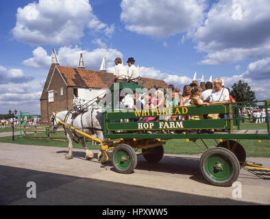 I bambini del cavallo della corsa del carrello presso la Fattoria del Luppolo Family Park, Paddock Wood, Kent, England, Regno Unito Foto Stock