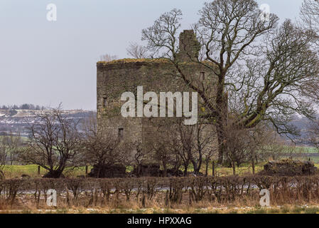 Antico castello di Lochwinnoch ormai in rovina dal lato della strada. Gigantesca quercia in corrispondenza della sua parte posteriore. Edifici sono ricoperta con MOSS e stampo. Immagine è stata Foto Stock