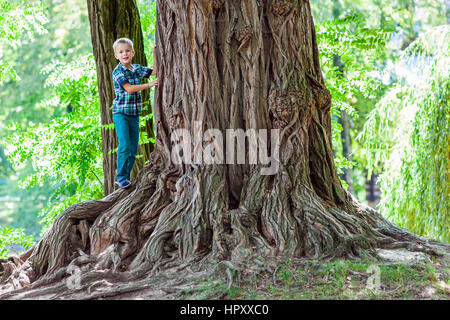 Little Boy in piedi accanto a un grosso tronco di un vecchio albero. Bambino felice giocando nel bellissimo parco estivo sul giorno caldo e soleggiato. Foto Stock