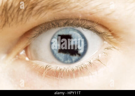 Un close-up di un occhio con la pupilla nella forma della Louisiana.(serie) Foto Stock