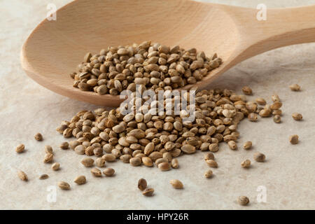 Senza guscio sementi di canapa su un cucchiaio di legno vicino fino Foto Stock