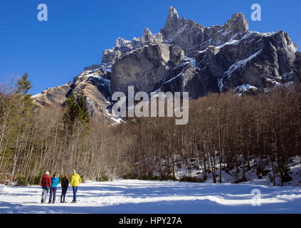 Gli scuotipaglia in riserva Naturelle de Sixt Fer A Cheval guardando il Pic de Tenneverge mountain in Le Massif du Giffre nelle Alpi francesi. Samoens, Haute Savoi Foto Stock