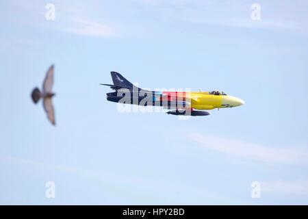 Hawker Hunter 'Miss swashbuckling' Foto Stock
