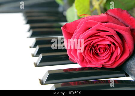 Una rosa rossa sulla tastiera di pianoforte. Il giorno di San Valentino concetto, musica romantica Foto Stock