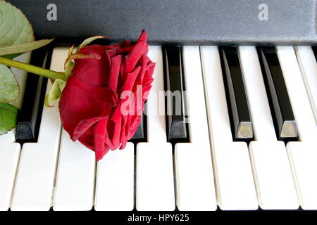 Una rosa rossa sulla tastiera di pianoforte. Love Song concetto, musica romantica Foto Stock