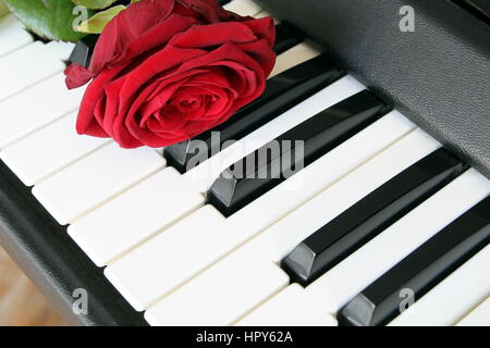 Una rosa rossa sulla tastiera di pianoforte. Love Song concetto, musica romantica Foto Stock