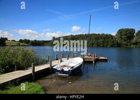 Grebin vicino a Plön, piccolo molo con barche sul lago Schierensee, Holsteinische Schweiz, Schleswig-Holstein, Germania, Europa Foto Stock