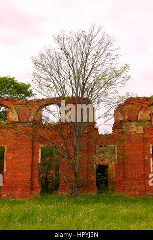 Le maestose rovine del maneggio e sede degli ussari del XIX secolo 2 Foto Stock