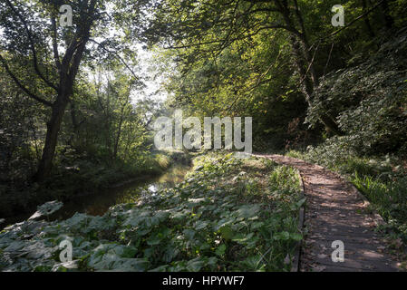 Passerella in legno lungo il fiume Derwent nella Vallata Forge boschi vicino a Scarborough, North Yorkshire. Una bella passeggiata circondato dal verde d'estate. Foto Stock