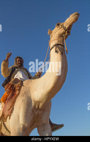 Il governo di Khartoum, Sudan - 19 DIC 2015: Cameleer posa con il suo cammello all'alba davanti alle piramidi. Foto Stock