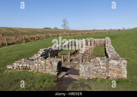 Il Vallo di Adriano: i resti del Mitreo vicino a Carrawburgh (Brocilitia) Roman Fort, Northumberland Foto Stock