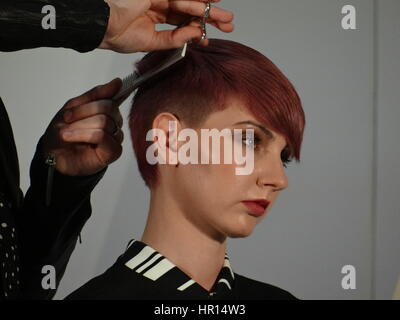 Londra, Regno Unito. 26 Febbraio, 2017. Professional Beauty Show si apre in ExCel di Londra, UK Credit: Nastia M/Alamy Live News Foto Stock