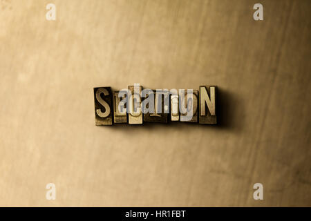 Sezione - close-up di grungy vintage parola stampate su uno sfondo di metallo. Royalty free stock - 3D Rendering immagine stock. Possono essere utilizzati per gli annunci tramite banner on line di altezza Foto Stock