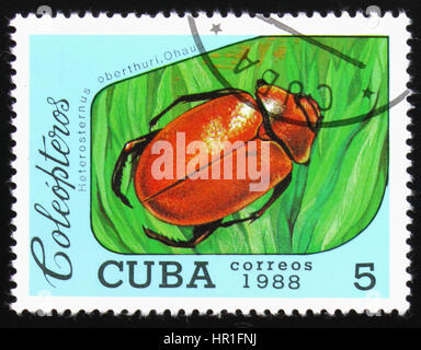 Mosca, Russia - 19 febbraio 2017: un timbro stampato da Cuba mostra Beetle Heterosternus oberthuri. Ohausi, serie beetle, circa 1988 Foto Stock