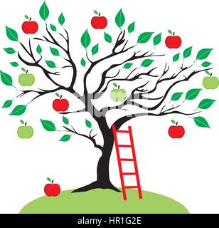 Illustrazione vettoriale di un albero di mele con una scala a pioli Illustrazione Vettoriale