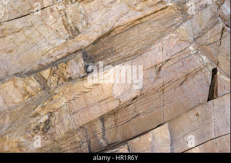 Sottolineare le fratture nella roccia a Whitesands Bay Foto Stock