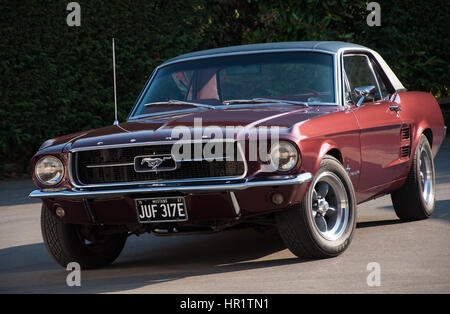 1967 classico Ford Mustang Coupe in Borgogna con spinta di coppia ruote D guardando bene al sole Foto Stock