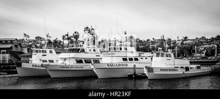 Sportfishing flotta in San Diego Foto Stock