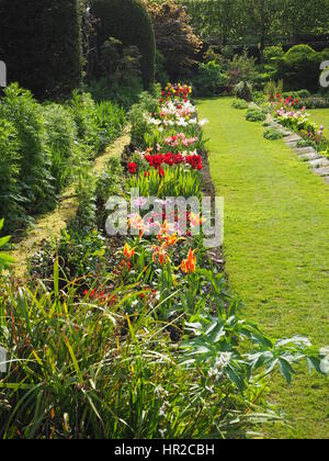 Chenies Manor Sunken garden in tulip time; una bella serata di maggio con il sole e il fresco verde per la crescita di piante. Colorato tulip confine con fogliame. Foto Stock
