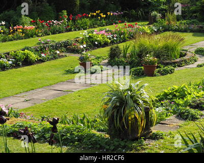 Chenies Manor Sunken garden in tulip time; una bella serata di maggio con il sole e il fresco verde per la crescita di piante, un vibrante e colorata scena. Foto Stock