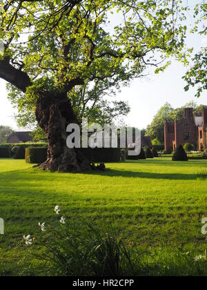 Vista ritratto della regina Elisabetta 1st di rovere, Chenies Manor House e giardino; il parterre in primavera. Foto Stock