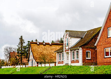 Häuser auf dem Deich in Mittelnkirchen, Altes Land; case in Mittelnkirchen, Bassa Sassonia Foto Stock