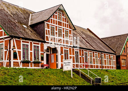 Häuser auf dem Deich in Mittelnkirchen, Altes Land; case in Mittelnkirchen, Bassa Sassonia Foto Stock