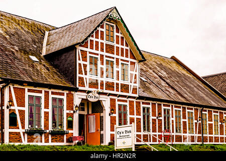 Häuser auf dem Deich in Mittelnkirchen, Altes Land; case in Mittelnkirchen, Bassa Sassonia Foto Stock