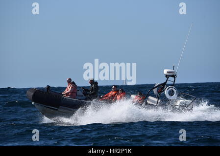 Whale watching ecoturismo avventura nella piccola barca accelerazione, schiantarsi attraverso onde, in Oceano Pacifico al di fuori di San Diego, California Foto Stock