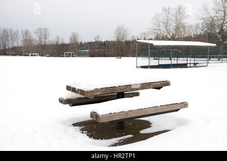 Parco coperto di neve Foto Stock