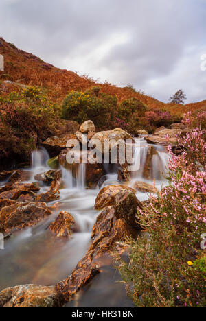 Un piccolo ruscello di montagna in Cwm Bychan vicino Beddgelert nel Parco Nazionale di Snowdonia nel Galles del Nord. Foto Stock