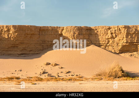 Effetti di erosione su le alte sponde del secco fiume Hoanib letto, Kaokoland, Namibia. Foto Stock