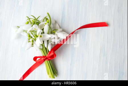 Snowdrops mazzo legato con un nastro rosso per un romantico presente Foto Stock