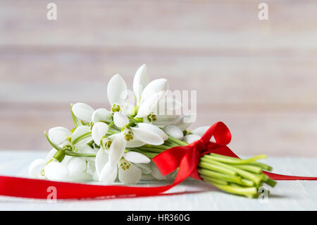Snowdrops mazzo legato con un nastro rosso per un romantico presente Foto Stock