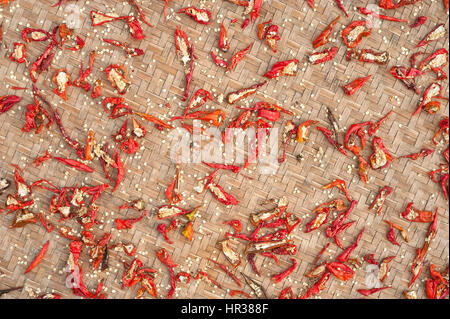 Peperoncino rosso di essiccazione al sole Foto Stock