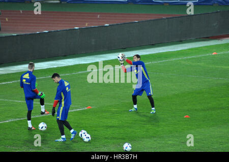 A Cluj Napoca, Romania - MARZO 26, 2016: portieri di Spagna Iker Casillas e David de Dea riproduzione durante la sessione di formazione prima che la Romania - S Foto Stock