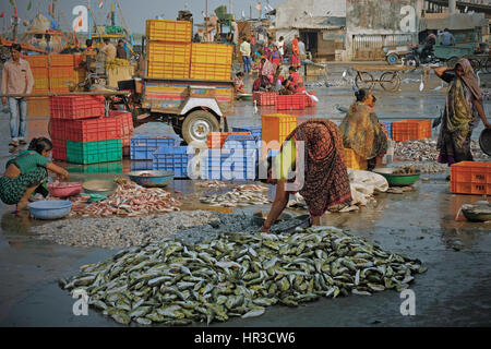 Le donne lo smistamento di fresco pesce sbarcato sulla banchina per la vendita al mercato nelle vicinanze del porto di Vanakbara su diu isola nello stato del Gujarat, India Foto Stock