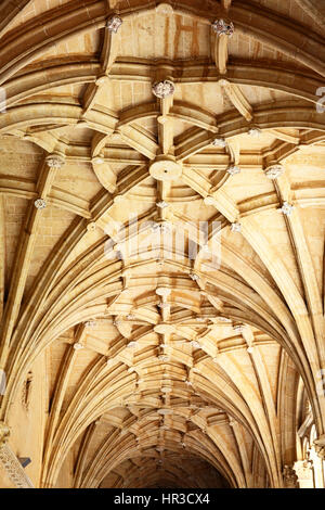 Gotico vaulting di pietra in un vecchio tample - dettagli architettonici Foto Stock