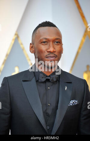 LOS ANGELES, CA - 26 febbraio: Mahershala Ali al ottantanovesimo Academy Awards al Dolby Theatre di Los Angeles, la California il 26 febbraio 2017. Credito: mpi99/MediaPunch Foto Stock