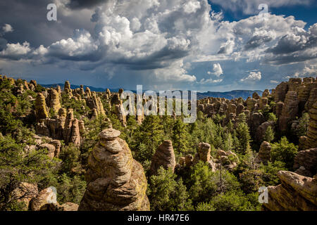 Vista di Sarah Deming Canyon con una tempesta di monsone come una discesa. Chiricahua National Monument. Foto Stock