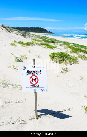 Segno di avvertimento di uccelli costieri area di nidificazione sulla spiaggia Conjola, Shoalhaven, South Coast, Nuovo Galles del Sud, NSW, Australia Foto Stock