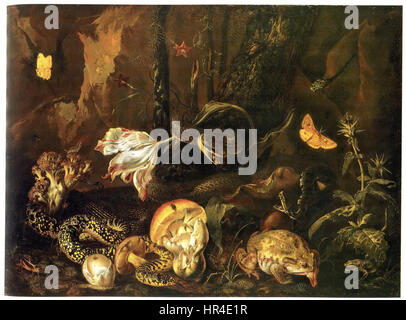 "Stillleben mit Insekten und Amphibien" di otto Marseus van Schrieck (natura morta con insetti e anfibi) mette in mostra la sua esperienza nella cattura della natura. Il pezzo presenta uno studio dettagliato di insetti e anfibi in un contesto di natura morta, tipico dello stile naturalistico olandese del XVII secolo. Foto Stock