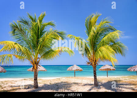 Ombrelloni di paglia e palme su una bella spiaggia tropicale Foto Stock