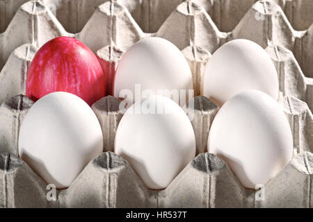 Bianchi e un dipinto di rosso d'uovo di pasqua in una cassetta, vassoio o scatola di cartone. Confezione di uova preparate per decorare per Pasqua. Primo piano di uova di Pasqua in ca Foto Stock