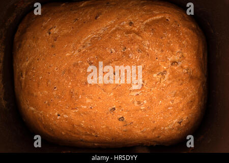 Cotto il pane nella macchina per il pane Foto Stock